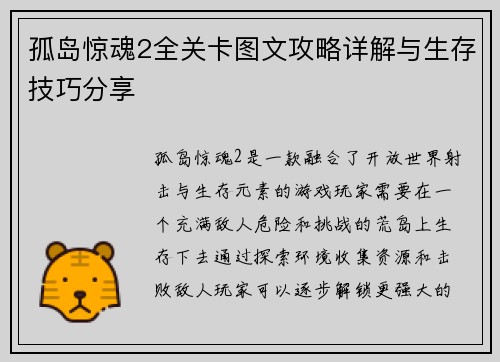 孤岛惊魂2全关卡图文攻略详解与生存技巧分享